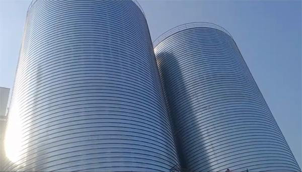 张家口2座混凝土高架卷板仓